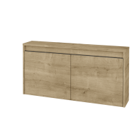 Nízka kúpeľňova skrinka VISIT SND2 100 